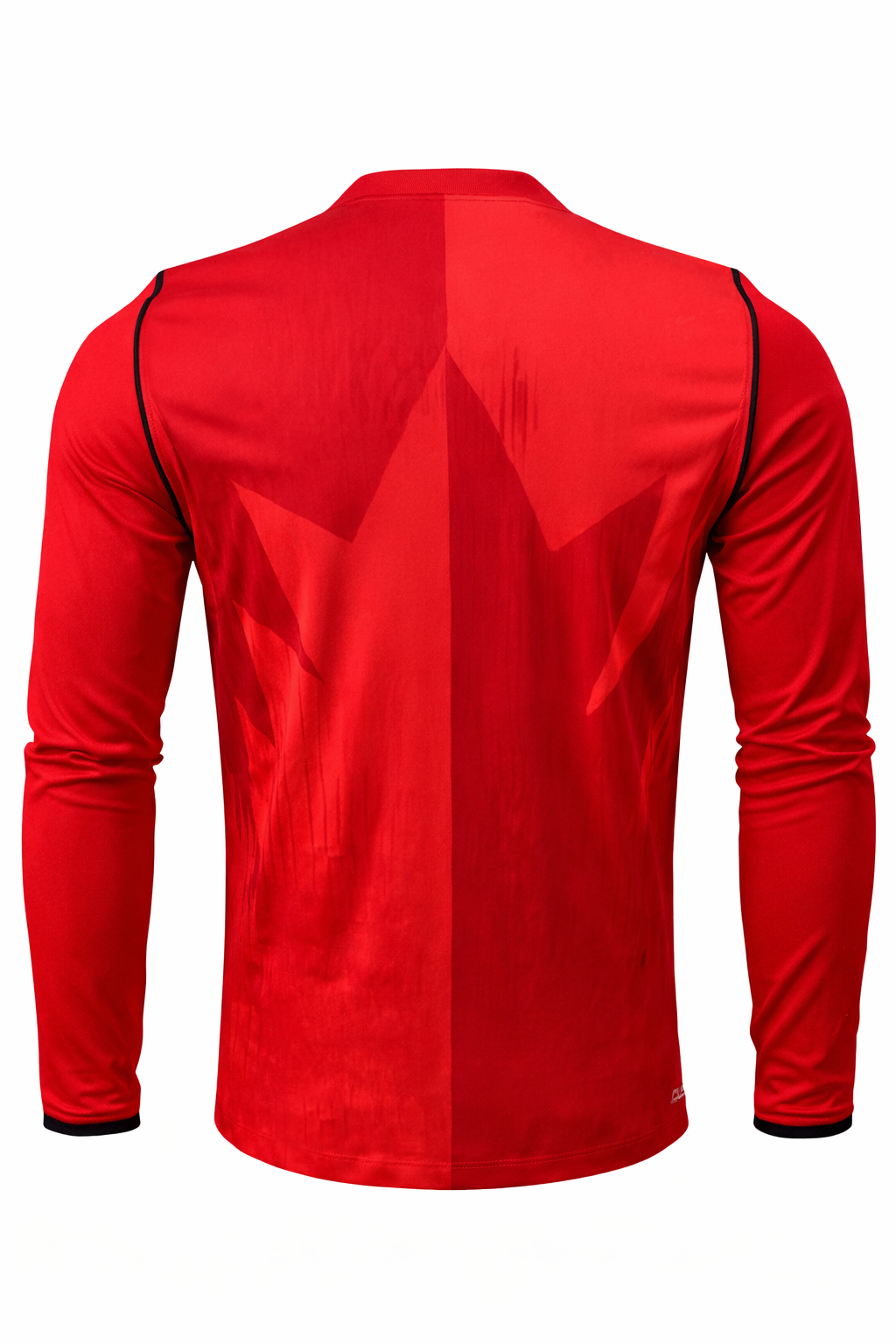 Camiseta local de Alemania 24/25 I - Versión para aficionados