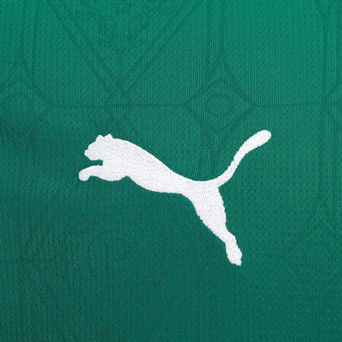 Camiseta Palmeiras 25/26 I Local - Versión Fan