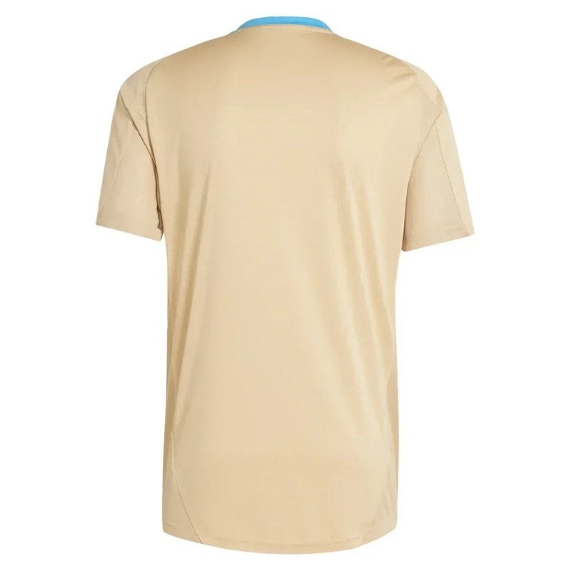 Camiseta de entrenamiento prepartido de Argentina 24/25 (versión para aficionados)