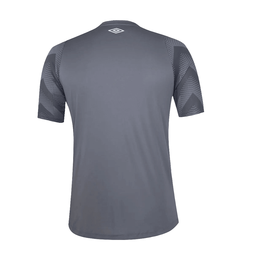 Santos 24/25 Goalkeeper Jersey - Gray - Fan Version