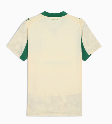 Palmeiras 25/26 x Kidsuper Jersey - Player Version