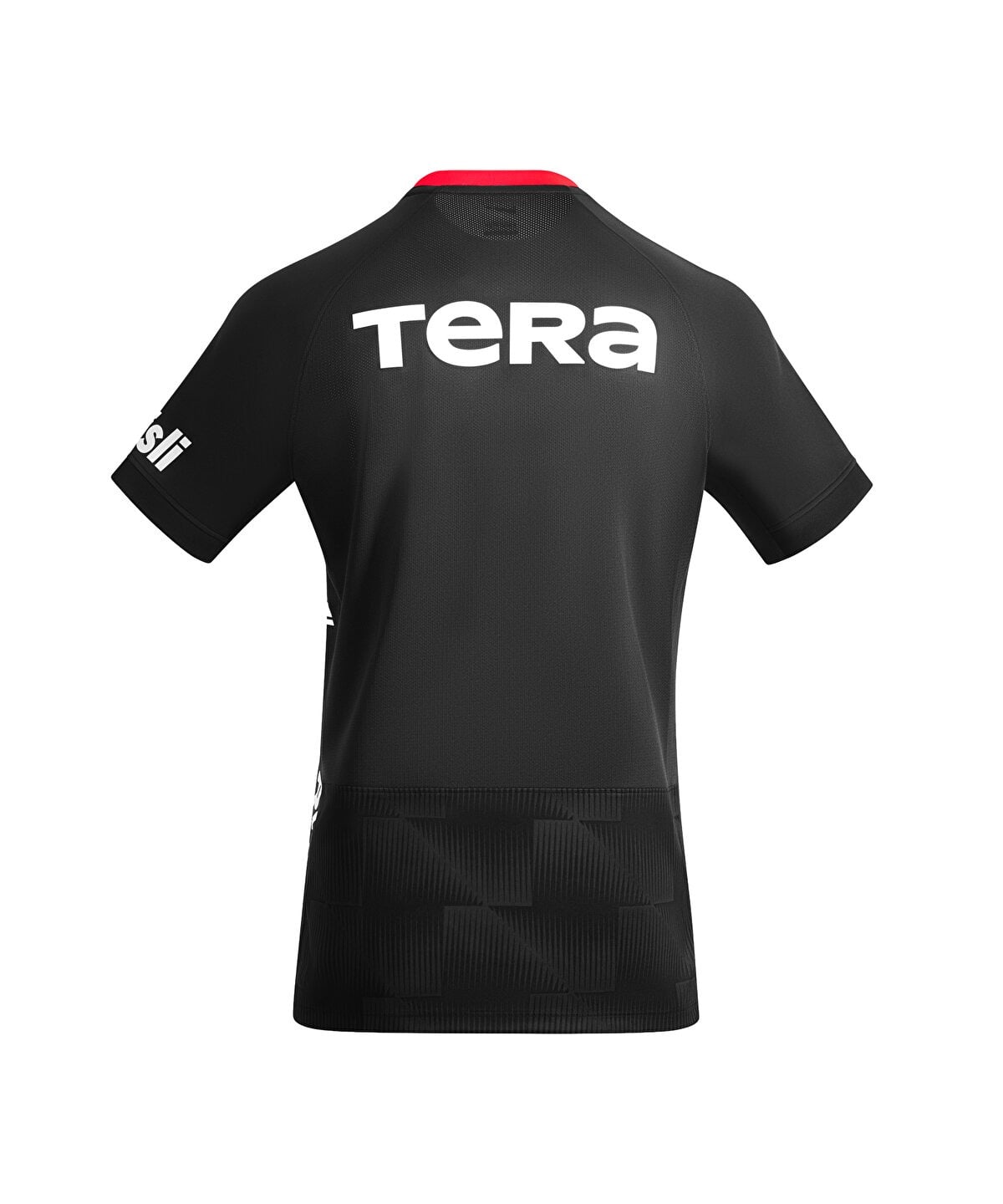 Besiktas 26/27 Third Jersey - back with Tera sponsor