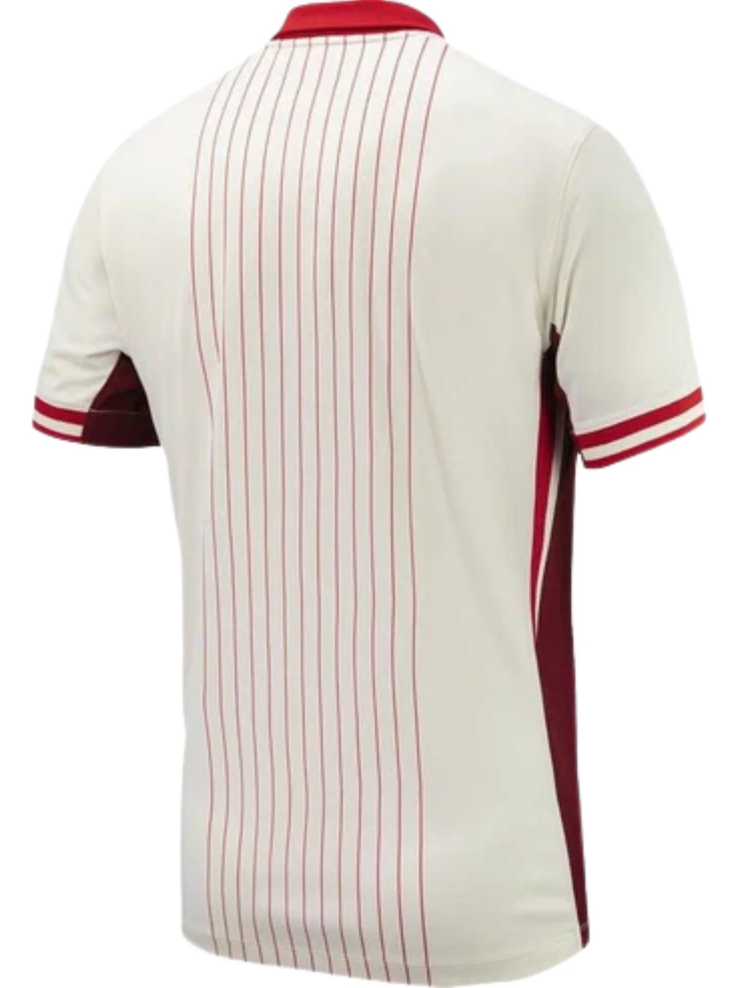 Camiseta de visitante de Canadá 24/25 II (versión para aficionados) 