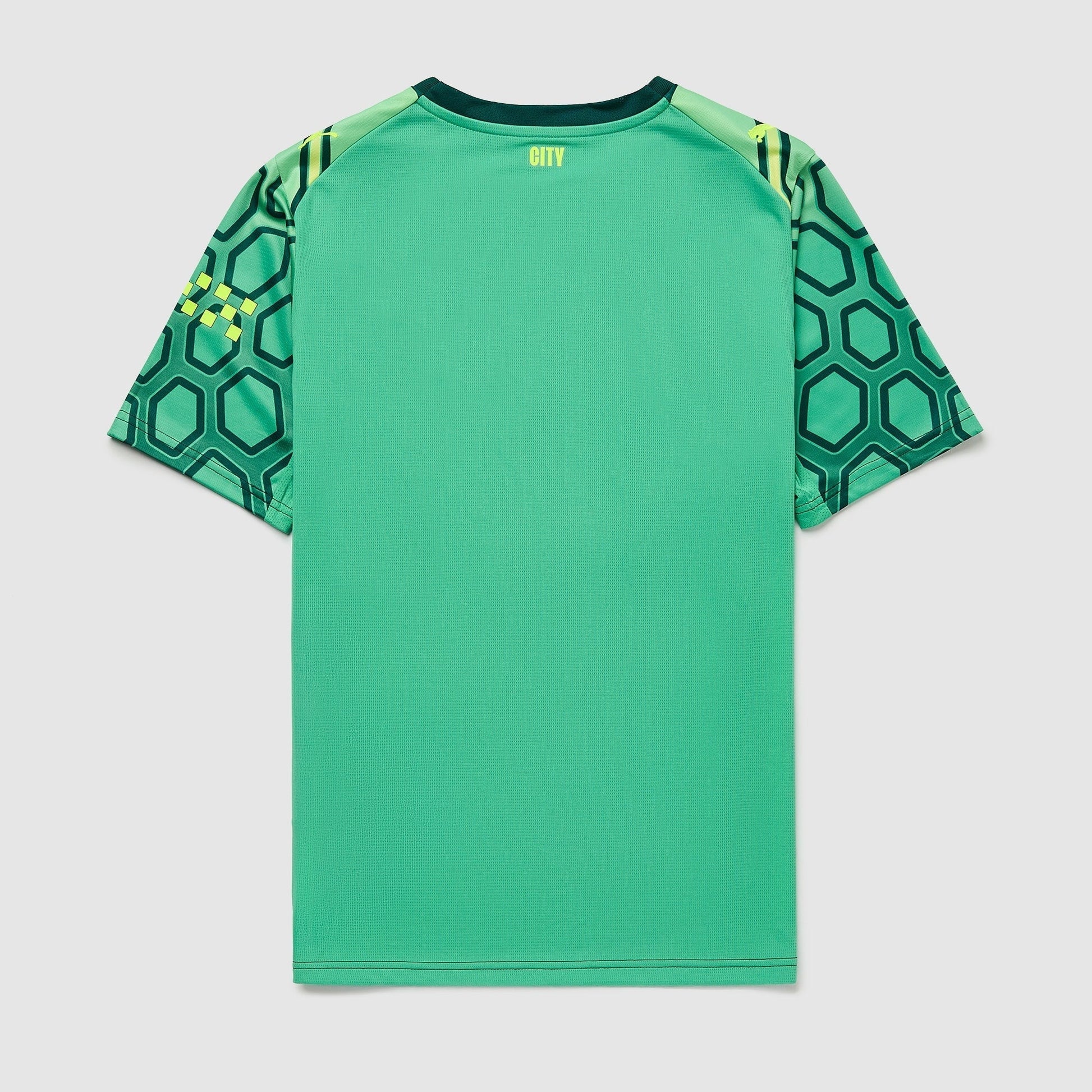 Manchester City 26/27 Goalkeeper Green Jersey - back