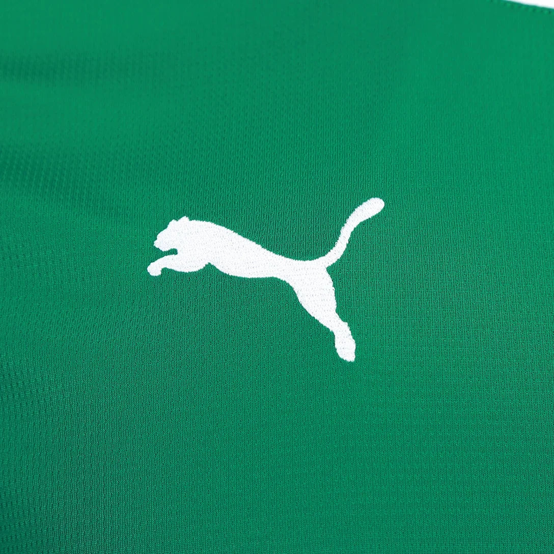 Palmeiras Puma Home 2026/27 Jersey - Player Version