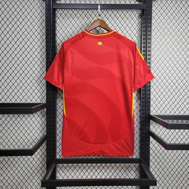 Spain 24-25 home