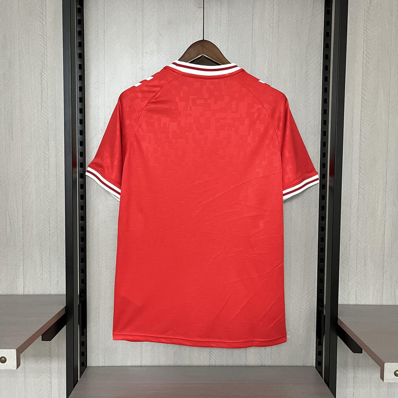 Denmark 24-25 Home