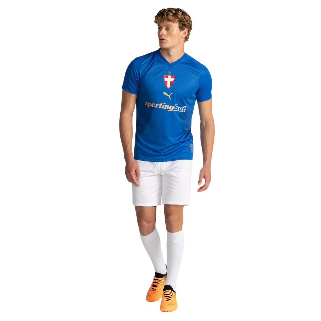 PRE-ORDER Palmeiras Puma Third 2026/27 Jersey