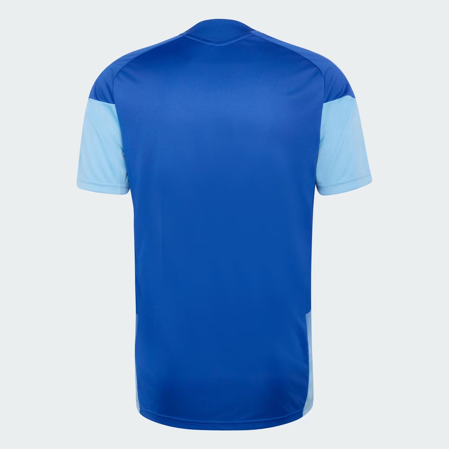 Jersey Training Cruzeiro  2026/27