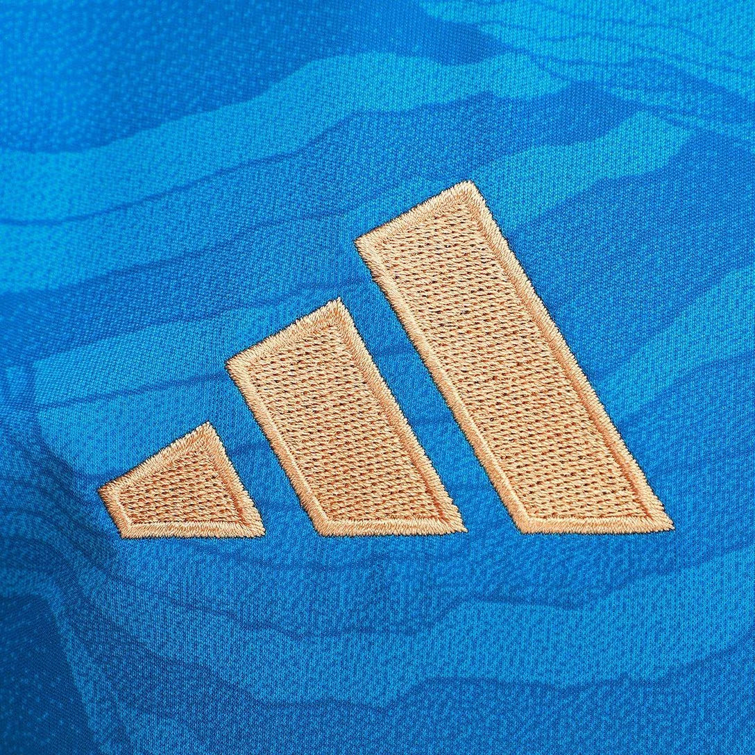 Cruzeiro 25/26 - Versión para aficionados