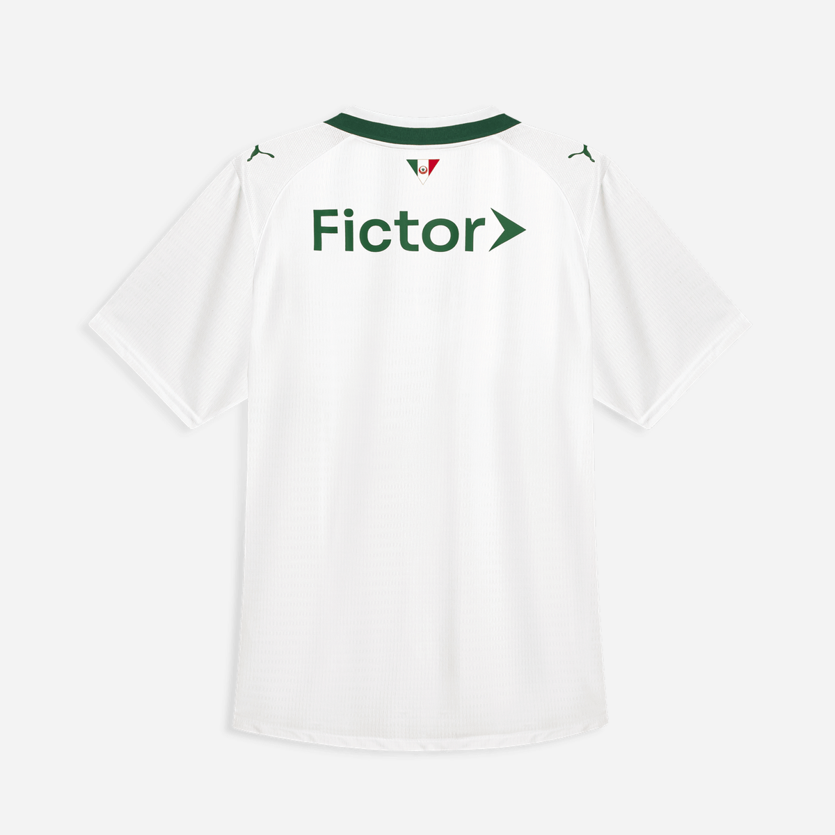 Camiseta Palmeiras 25/26 I Local - Versión Fan 