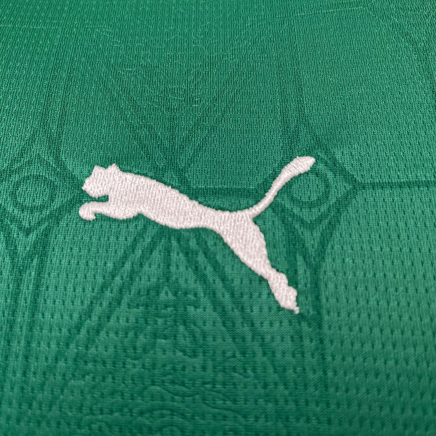 Palmeiras Infantil 25/26 Home