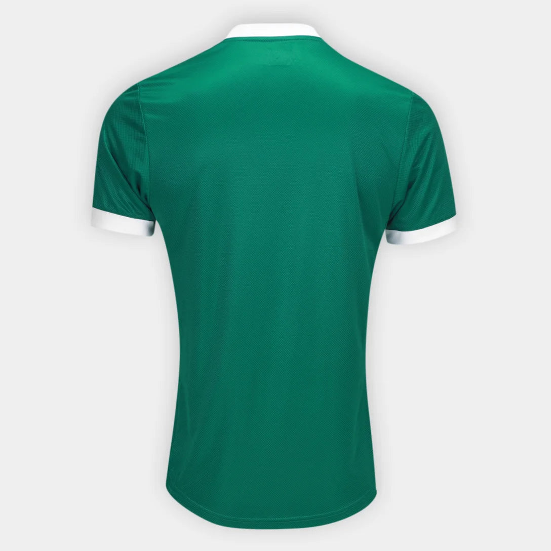 Camiseta de visitante del Palmeiras 24/25 II - Versión de jugador 