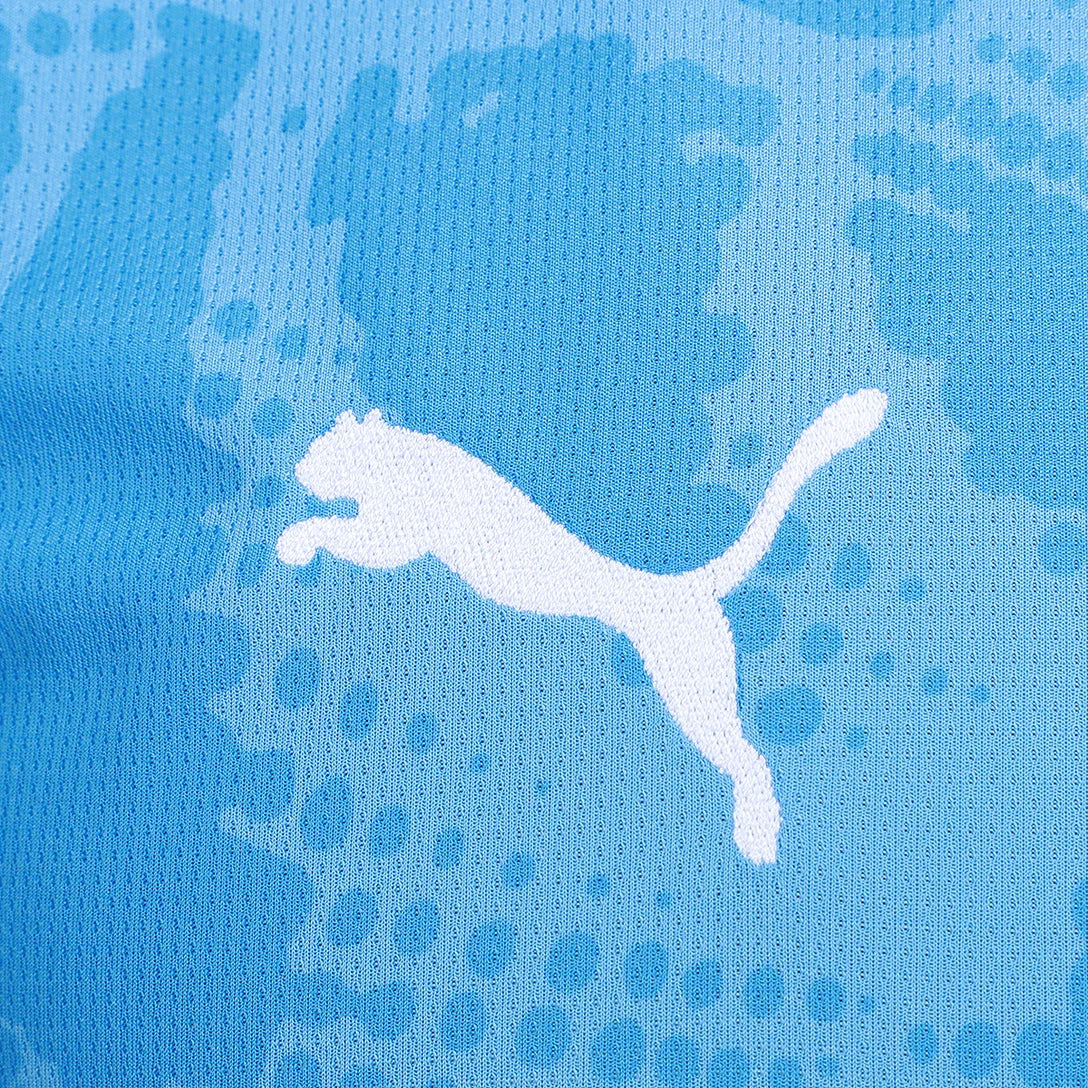 Camiseta de portero local del Palmeiras 24/25 (versión para aficionados) 