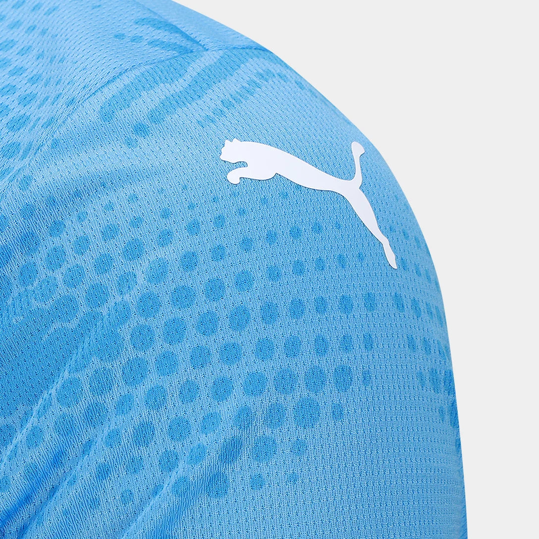 Camiseta de portero local del Palmeiras 24/25 (versión para aficionados) 