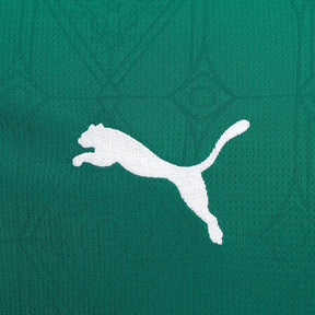 Camiseta Palmeiras 25/26 I Local - Versión Fan 
