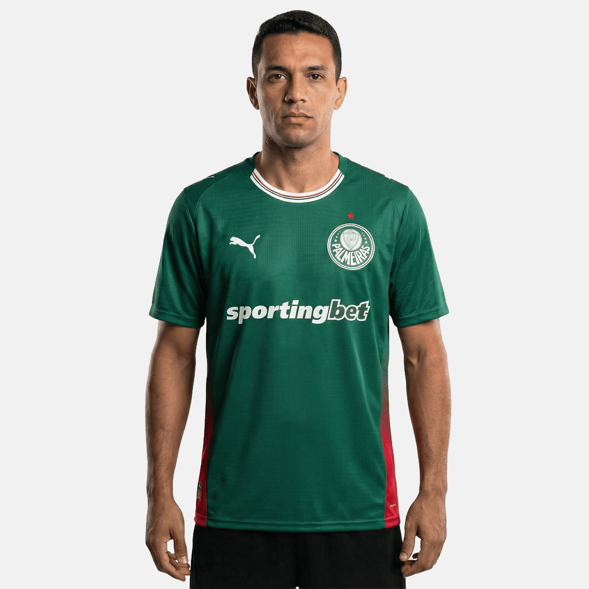 Camiseta Palmeiras 25/26 I Local - Versión Fan 