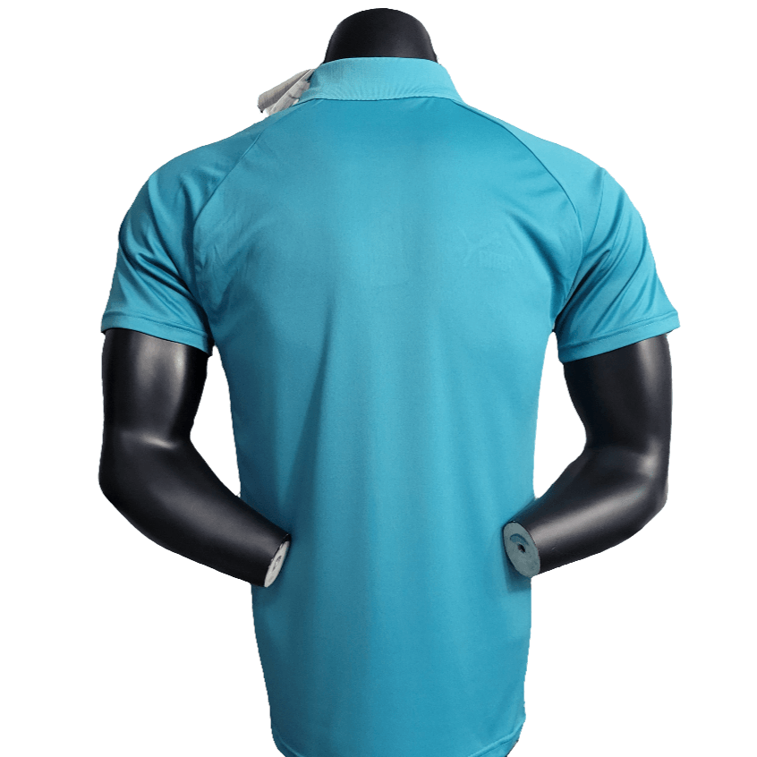 Camiseta Polo Palmeiras 23/24 - Verde Claro - Versión Fan 