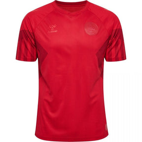 Camiseta local de Dinamarca 22/23 (versión para aficionados) 