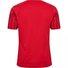 Camiseta local de Dinamarca 22/23 (versión para aficionados) 