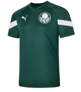 Camisa Treino Palmeiras 23/24 - Verde - Versão Torcedor 