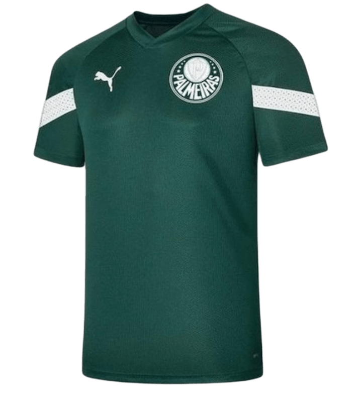 Camisa Treino Palmeiras 23/24 - Verde - Versão Torcedor 